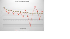 Daffodil First Flowering (locally) as of 2013