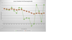 Lesser Celandine First Flowering (locally) as of 2013