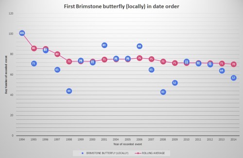 Brimstone butterfly (locally) as of 2014
