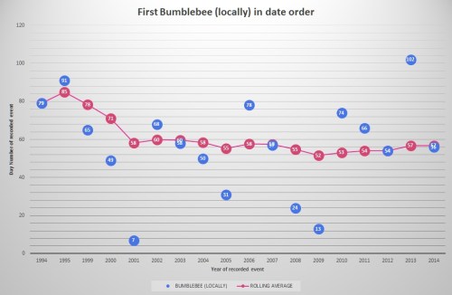 Bumblebee (locally) as of 2014