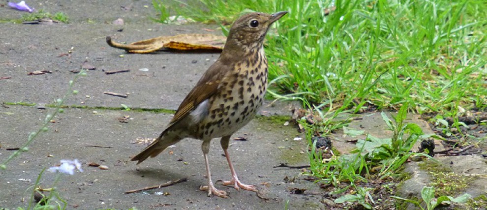 Ongoing Research – slowly building up the knowledge&nbsp;base!